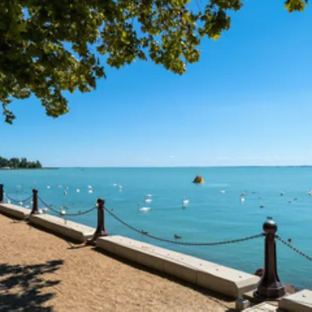 Отель Akademia 4*